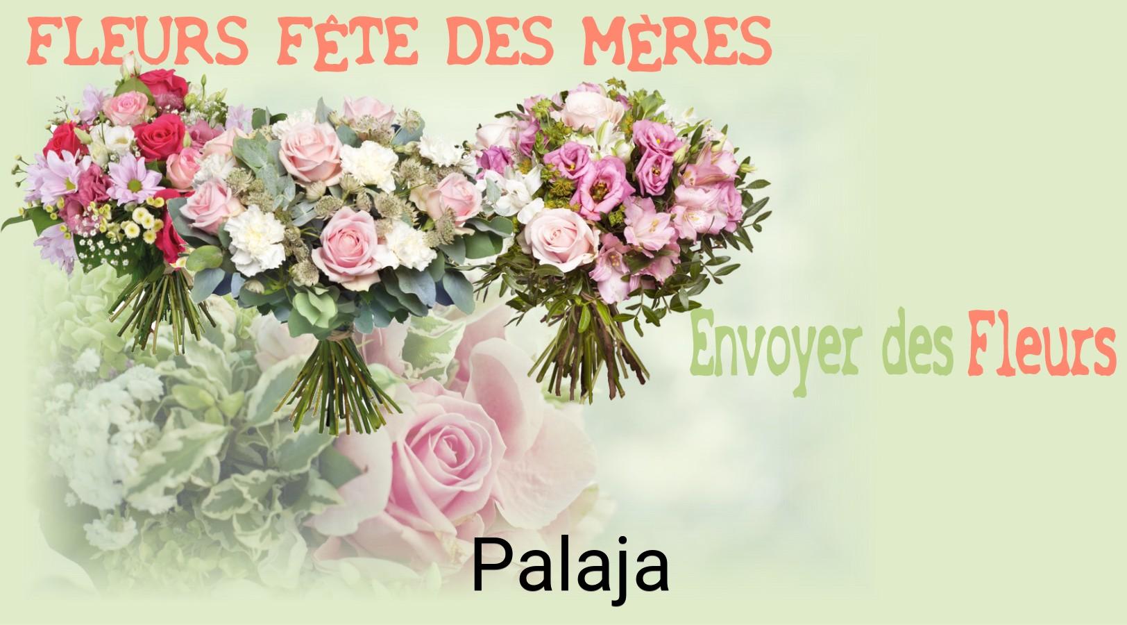 Bouquet de Fête des Mères livré à Palaja
